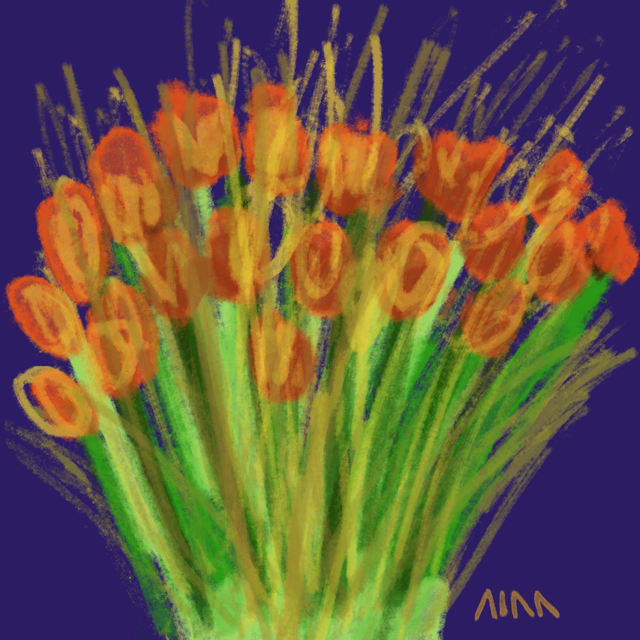 Midnight tulips