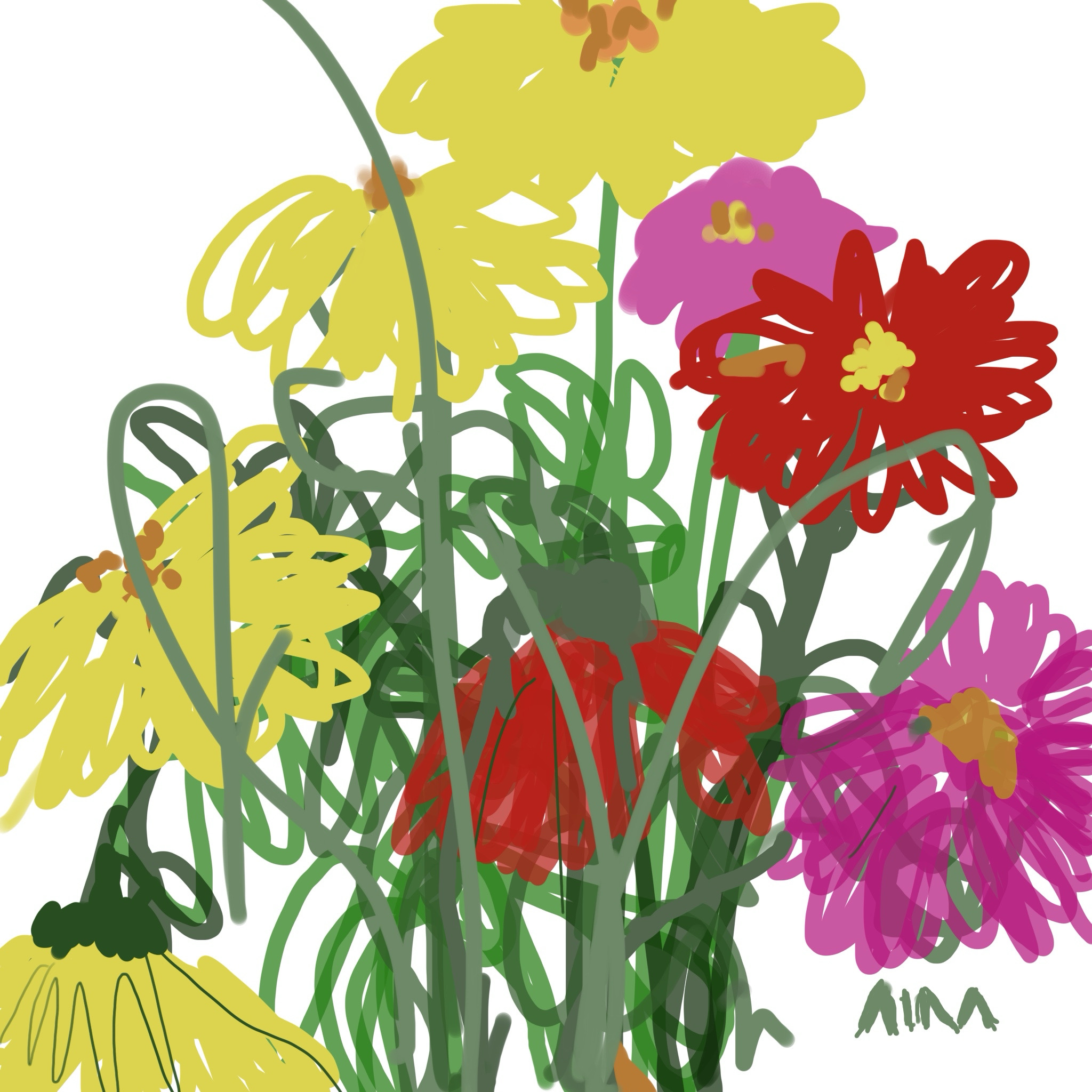 Meadow